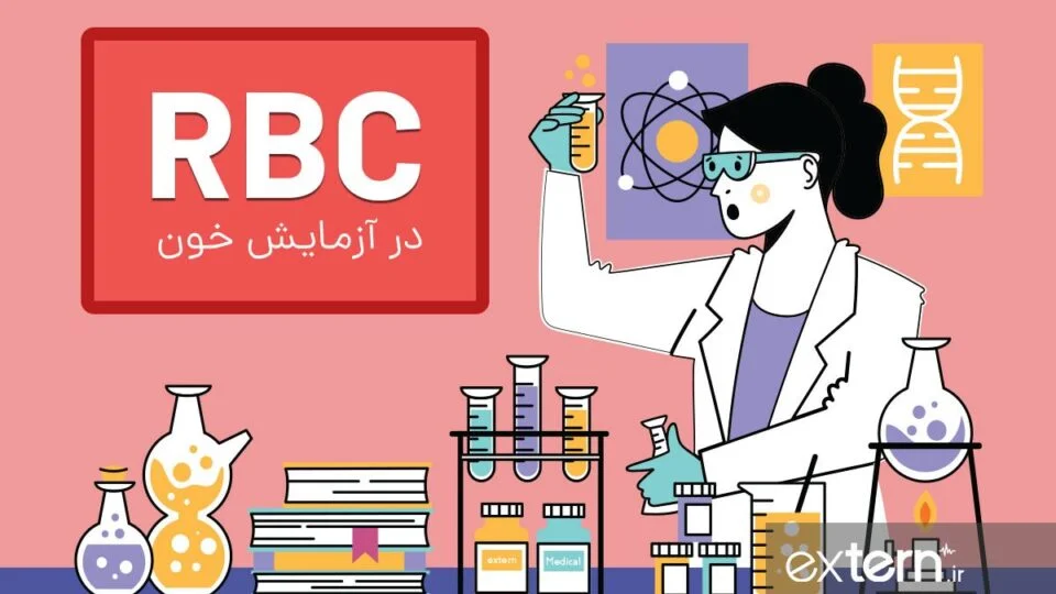 RBC یا گلبول قرمز خون در آزمایش خون