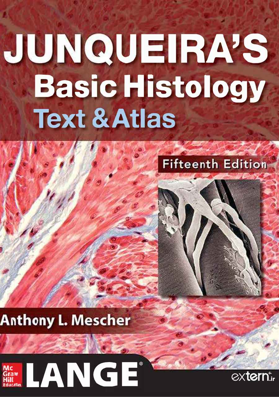 2018 15 pdf