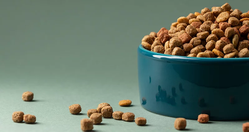 غذای خشک گربه